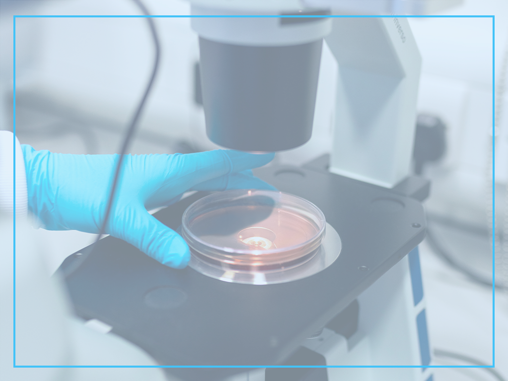 Les protocoles de la fécondation IN VITRO